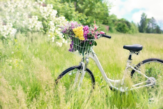 Fietsplezier voor vrouwen: tips en trends voor de perfecte damesfiets