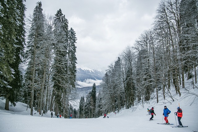 Het kiezen van de juiste skischoenen voor verschillende skivaardigheidsniveaus